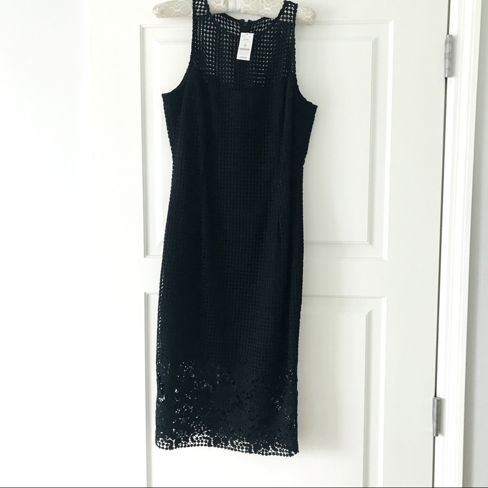 Black cotton lace over taffeta sheath